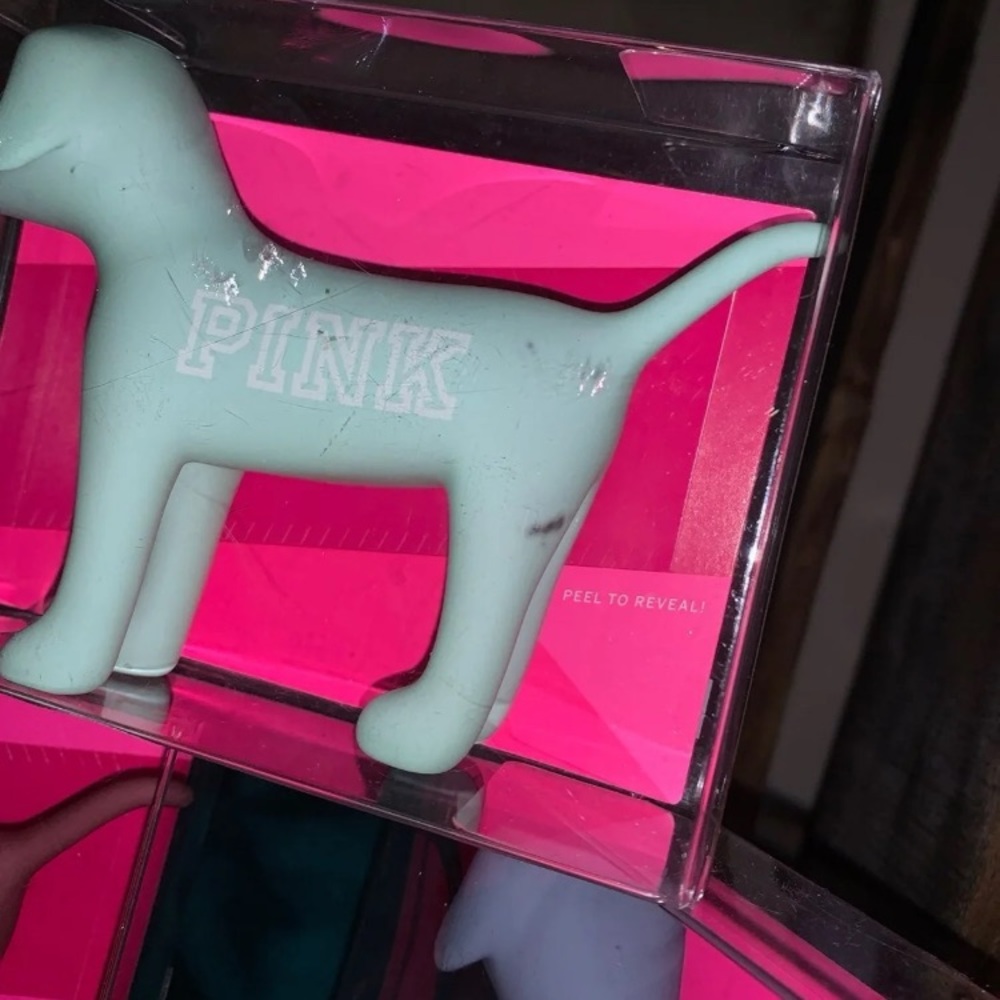 ❌SOLD❌PINK Friday Boxed Plastic Dog Set - Picture 3 of 3
